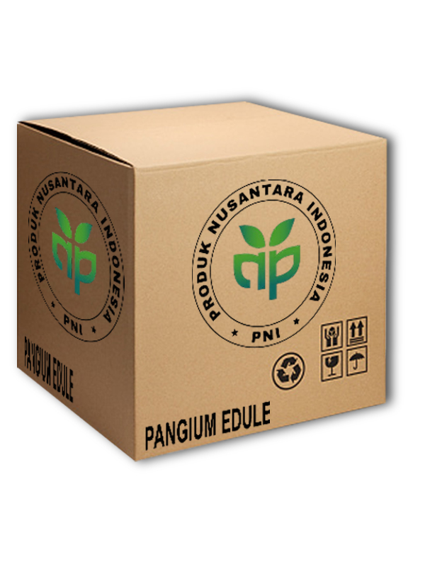 Pangium Edule